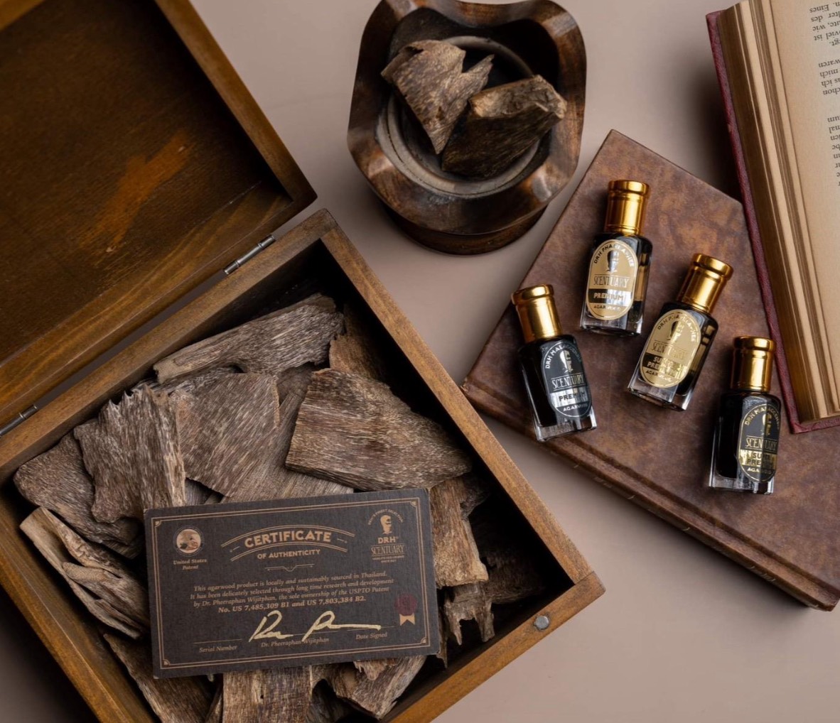 Agarwood cultivation